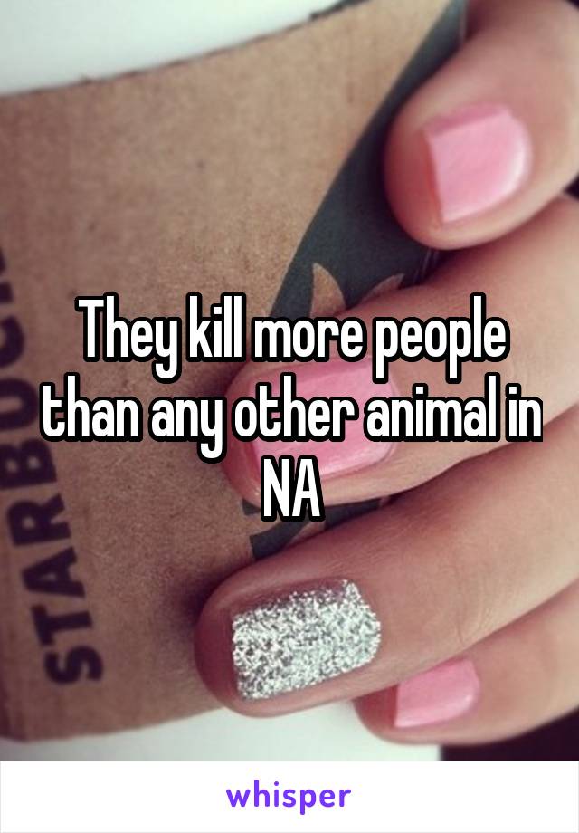 They kill more people than any other animal in NA