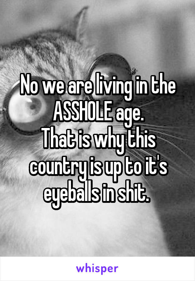 No we are living in the ASSHOLE age.
That is why this country is up to it's eyeballs in shit. 