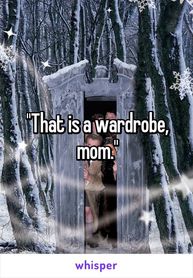 "That is a wardrobe, mom."