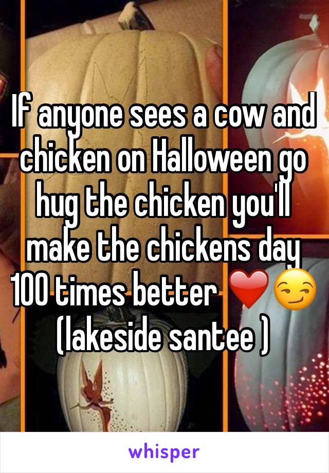 If anyone sees a cow and chicken on Halloween go hug the chicken you'll make the chickens day 100 times better ❤️️😏 (lakeside santee ) 