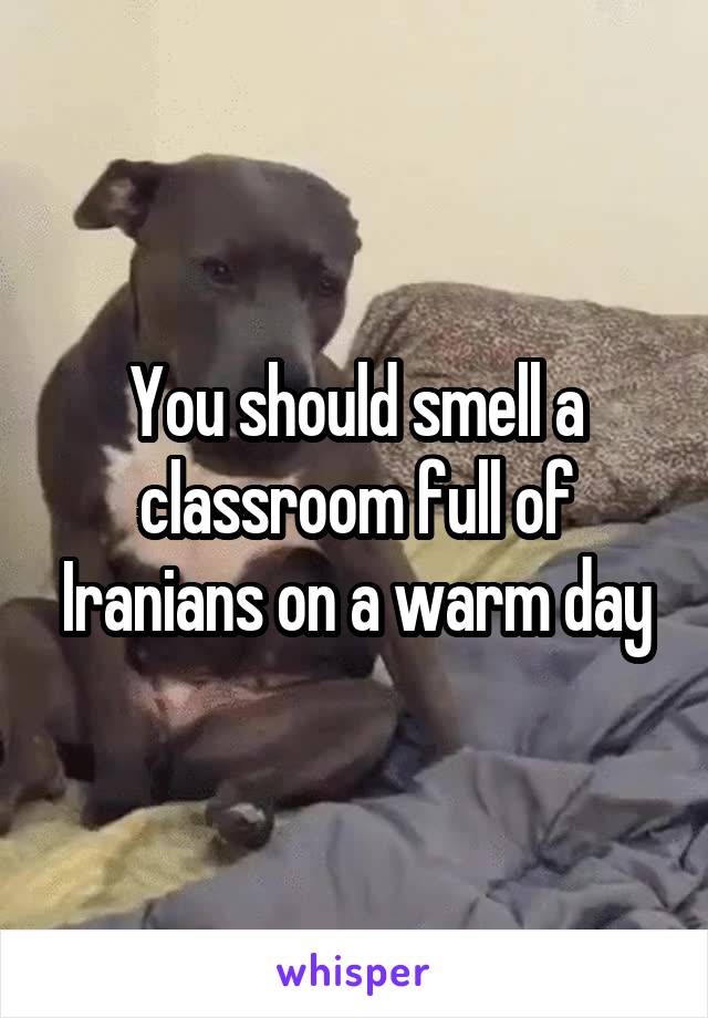You should smell a classroom full of Iranians on a warm day