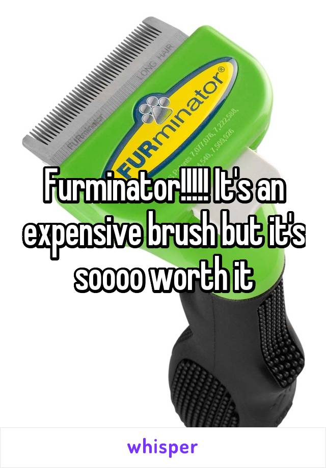 Furminator!!!!! It's an expensive brush but it's soooo worth it