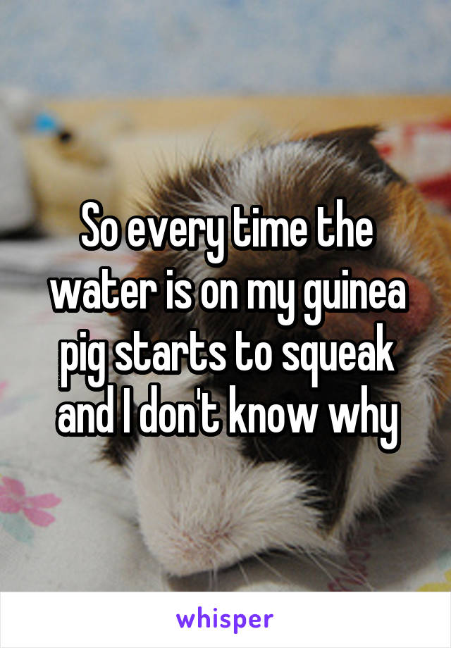 So every time the water is on my guinea pig starts to squeak and I don't know why