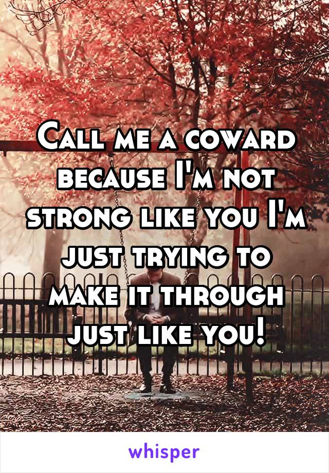 Call me a coward because I'm not strong like you I'm just trying to make it through just like you!