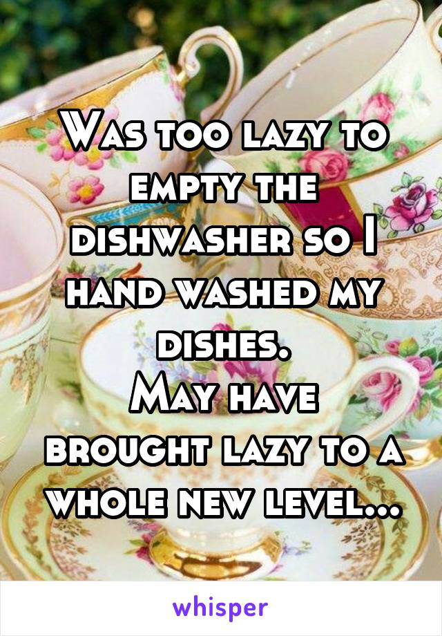 Was too lazy to empty the dishwasher so I hand washed my dishes.
May have brought lazy to a whole new level...