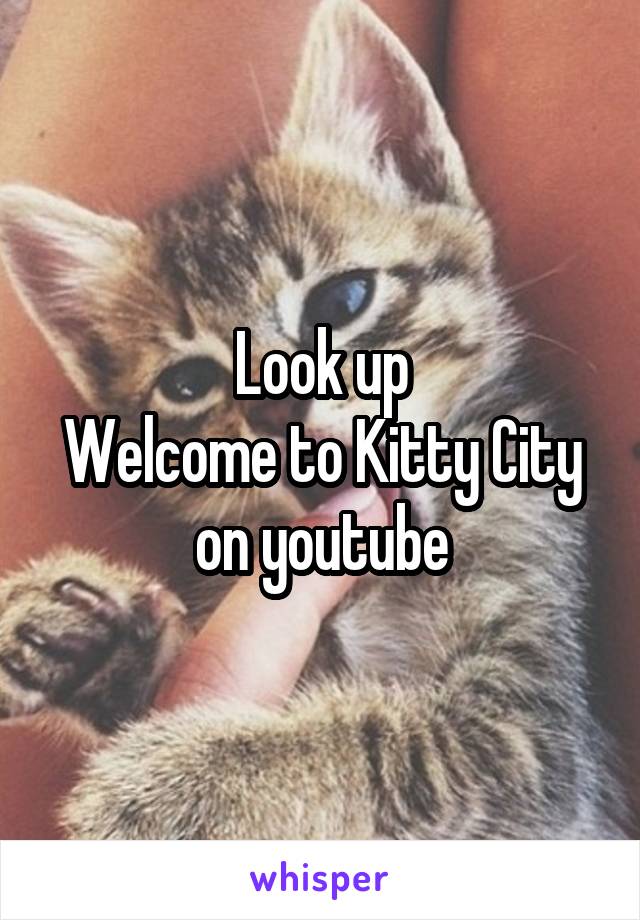 Look up
Welcome to Kitty City
on youtube