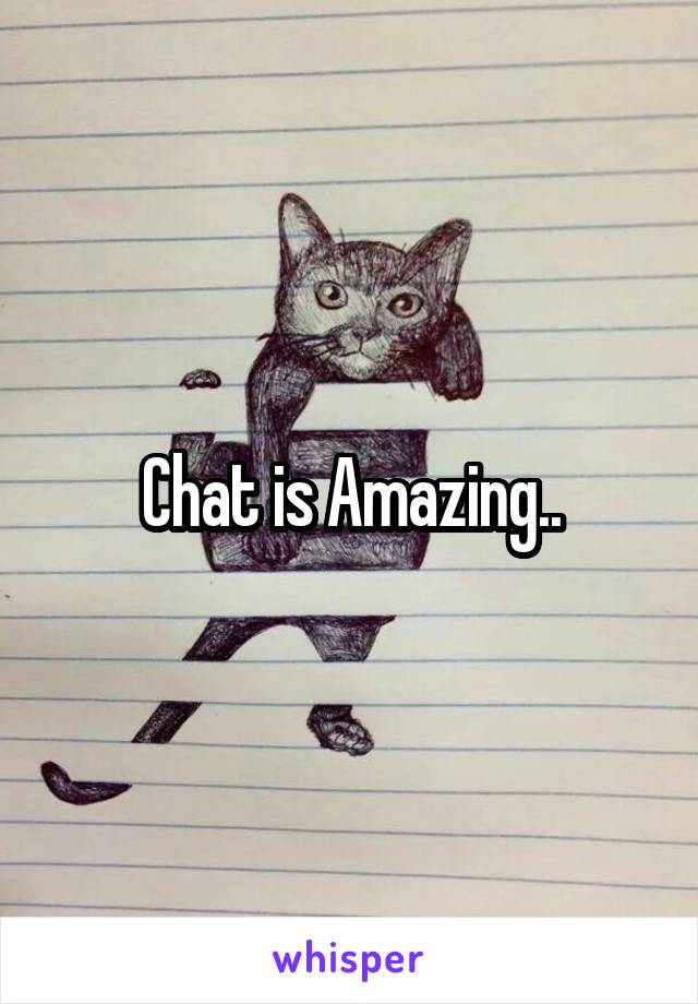 Chat is Amazing..