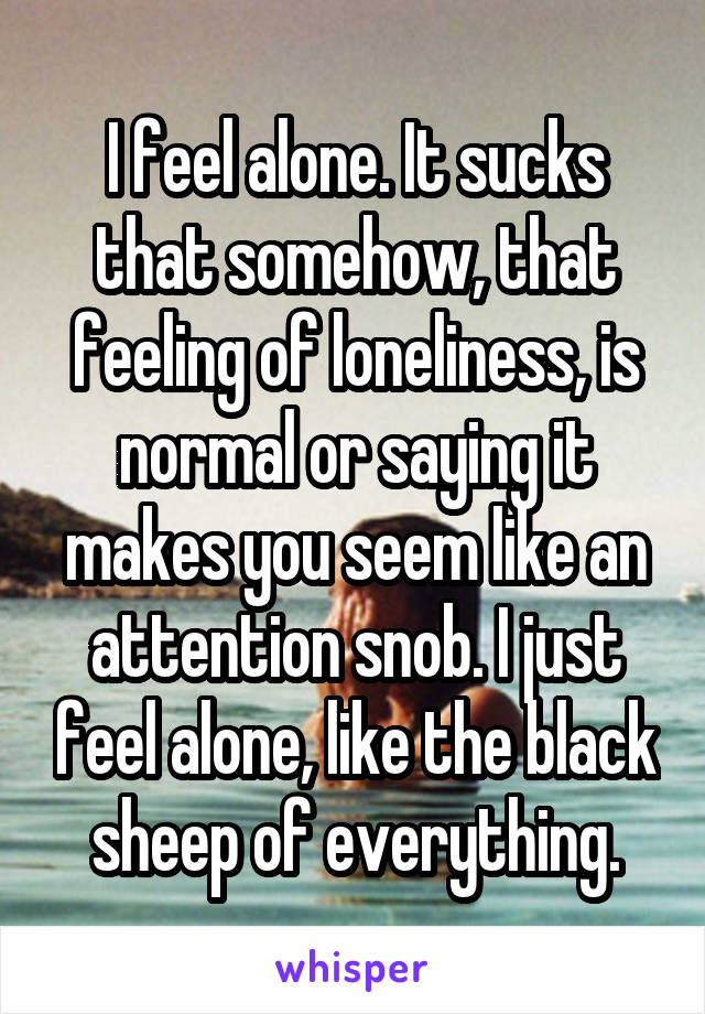 I feel alone. It sucks that somehow, that feeling of loneliness, is normal or saying it makes you seem like an attention snob. I just feel alone, like the black sheep of everything.