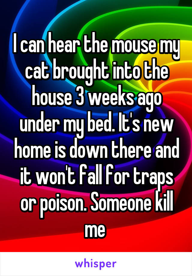 I can hear the mouse my cat brought into the house 3 weeks ago under my bed. It's new home is down there and it won't fall for traps or poison. Someone kill me 