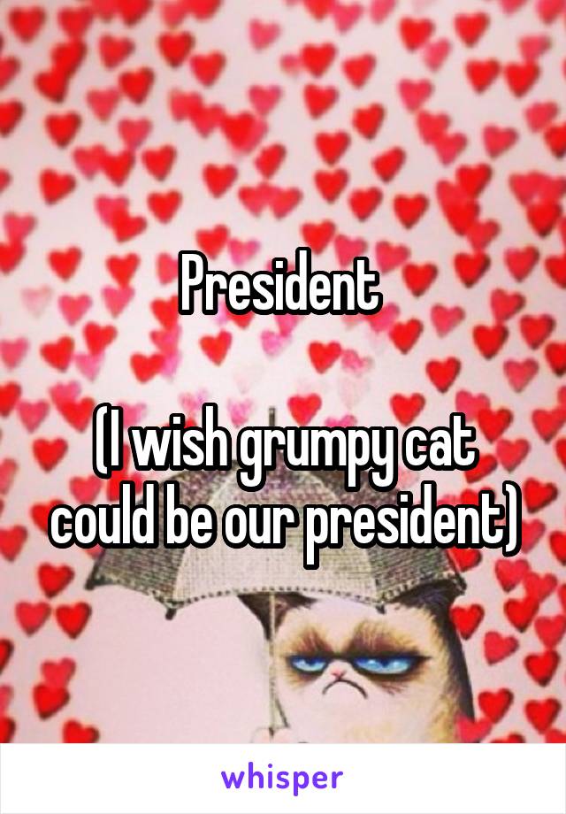 President 

(I wish grumpy cat could be our president)