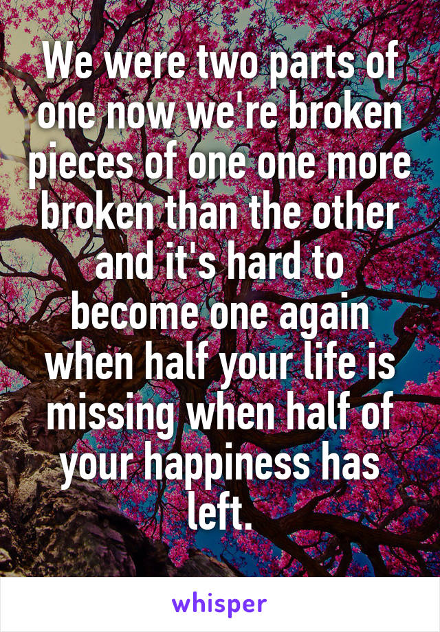 We were two parts of one now we're broken pieces of one one more broken than the other and it's hard to become one again when half your life is missing when half of your happiness has left.
