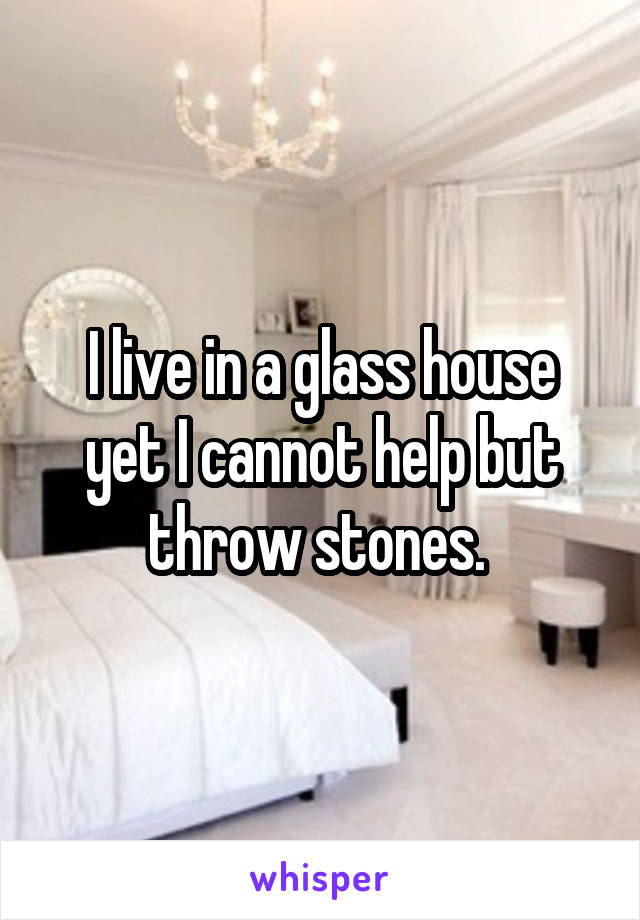 I live in a glass house yet I cannot help but throw stones. 