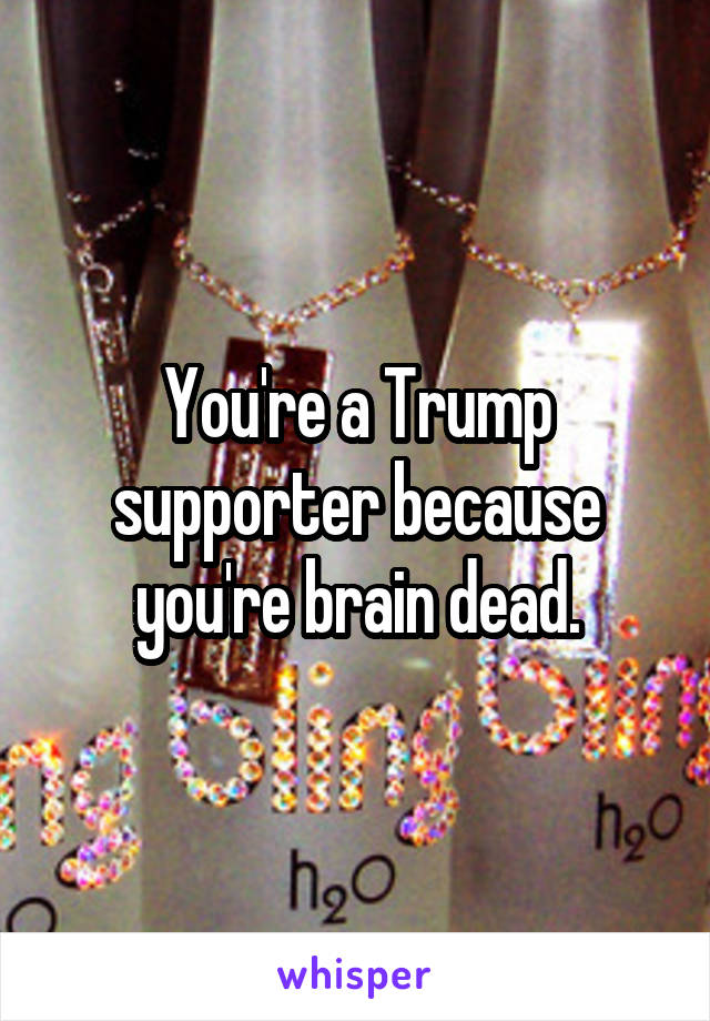 You're a Trump supporter because you're brain dead.