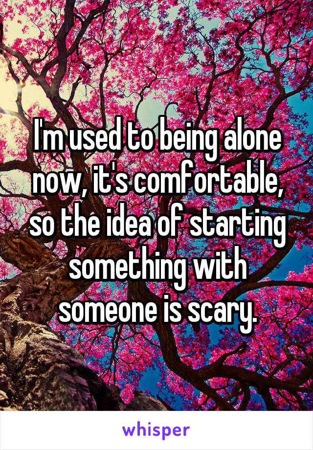 I'm used to being alone now, it's comfortable, so the idea of starting something with someone is scary.