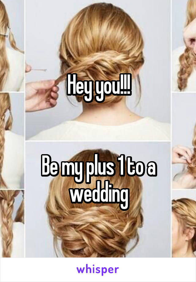 Hey you!!!


Be my plus 1 to a wedding
