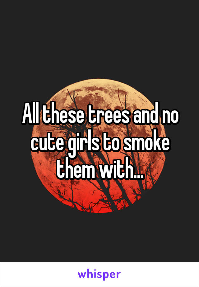 All these trees and no cute girls to smoke them with...