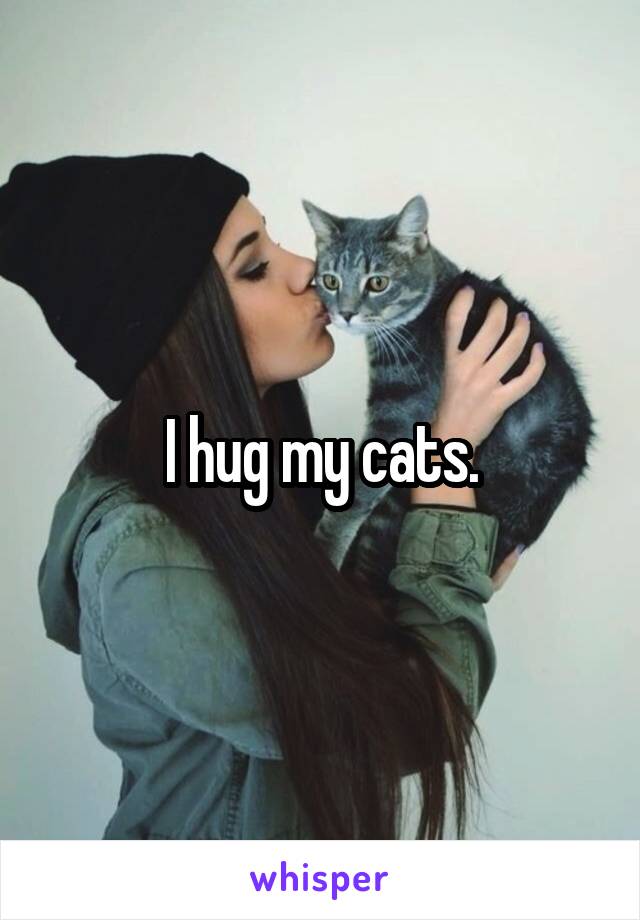 I hug my cats.