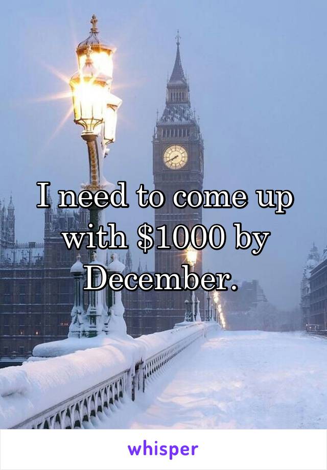 I need to come up with $1000 by December. 