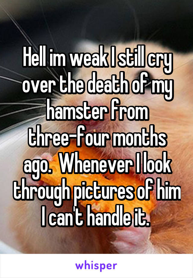 Hell im weak I still cry over the death of my hamster from three-four months ago.  Whenever I look through pictures of him I can't handle it. 