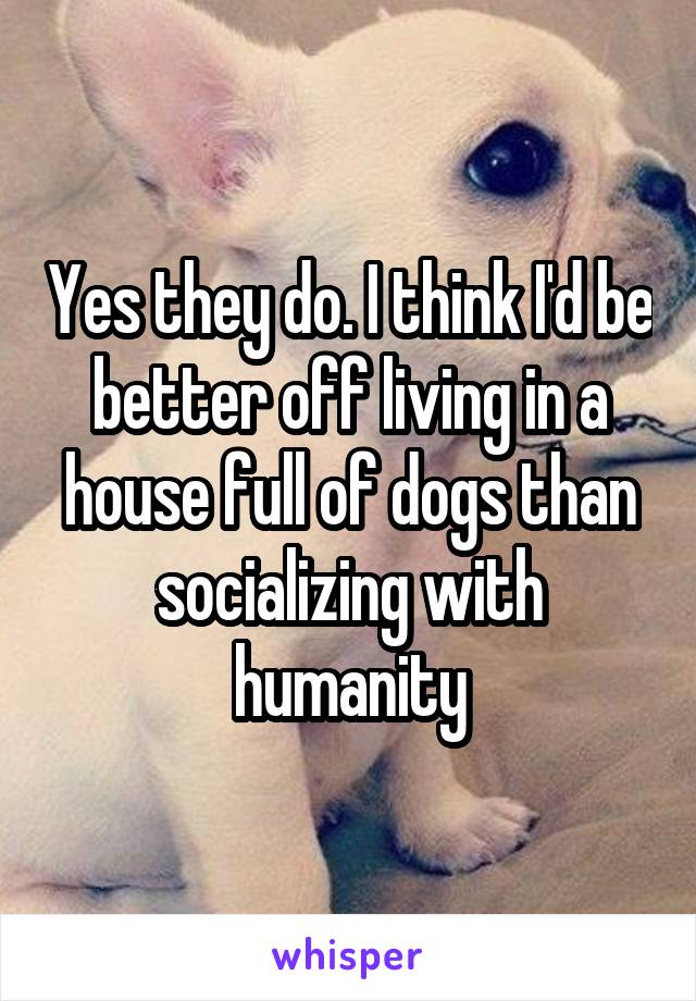 Yes they do. I think I'd be better off living in a house full of dogs than socializing with humanity