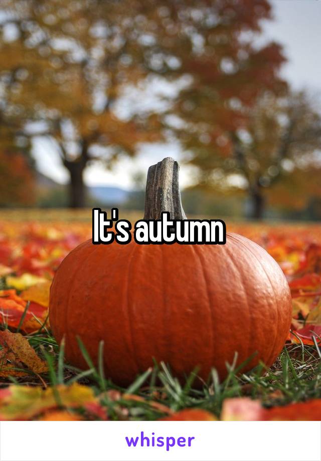 It's autumn 