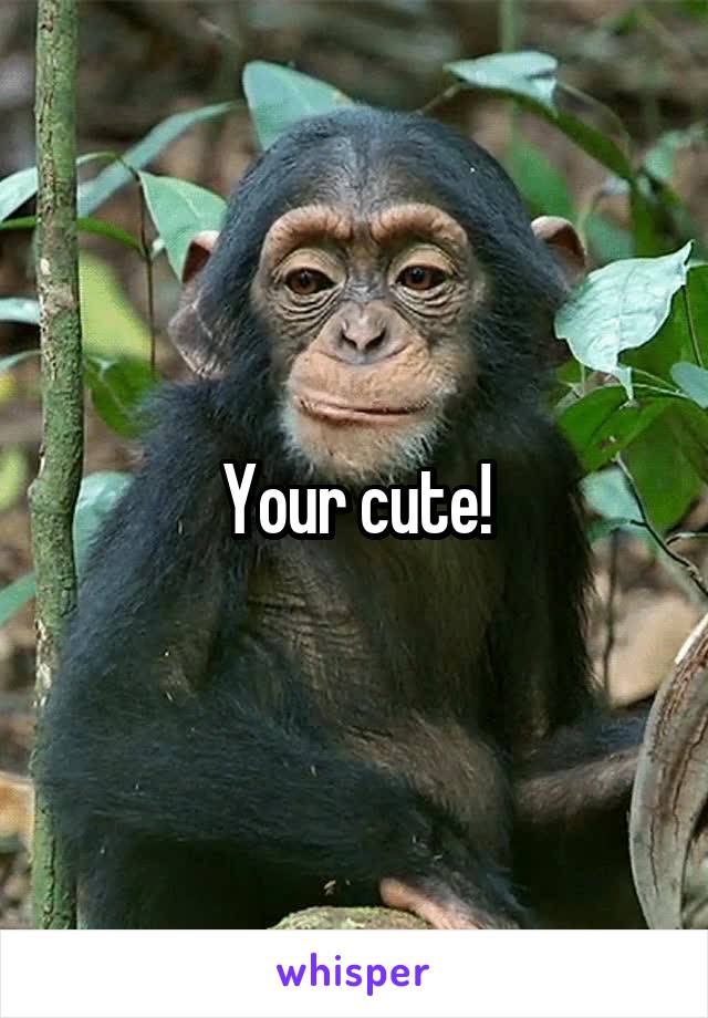 Your cute!