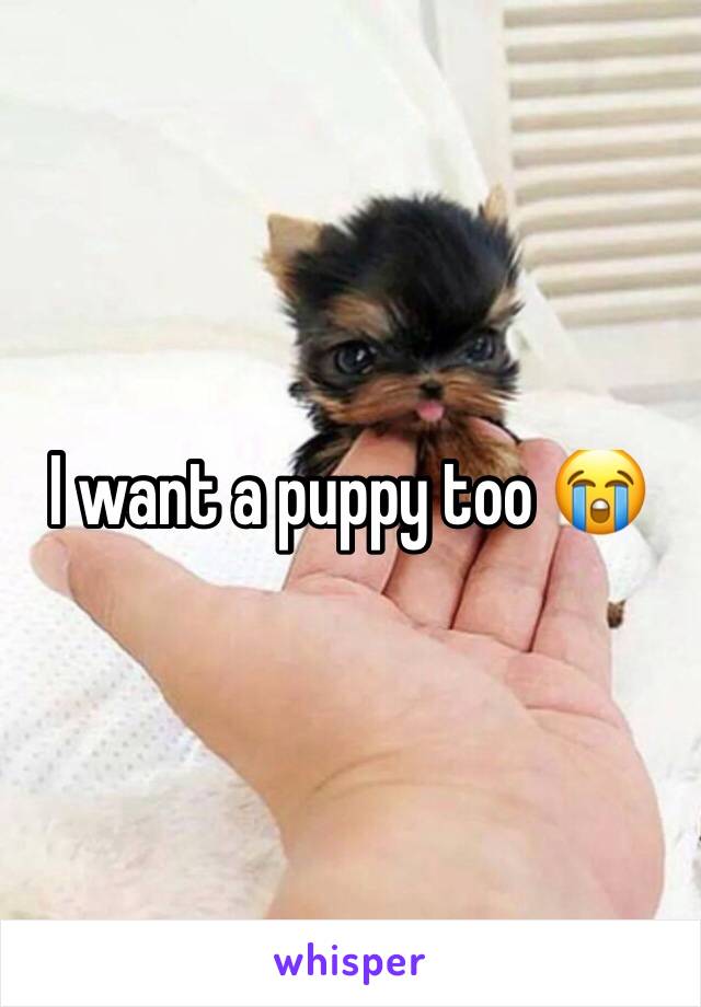 I want a puppy too 😭