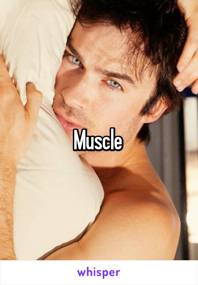Muscle 