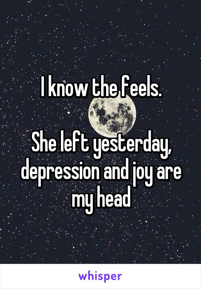 I know the feels.

She left yesterday, depression and joy are my head