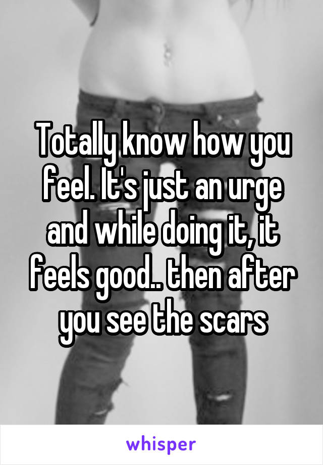 Totally know how you feel. It's just an urge and while doing it, it feels good.. then after you see the scars