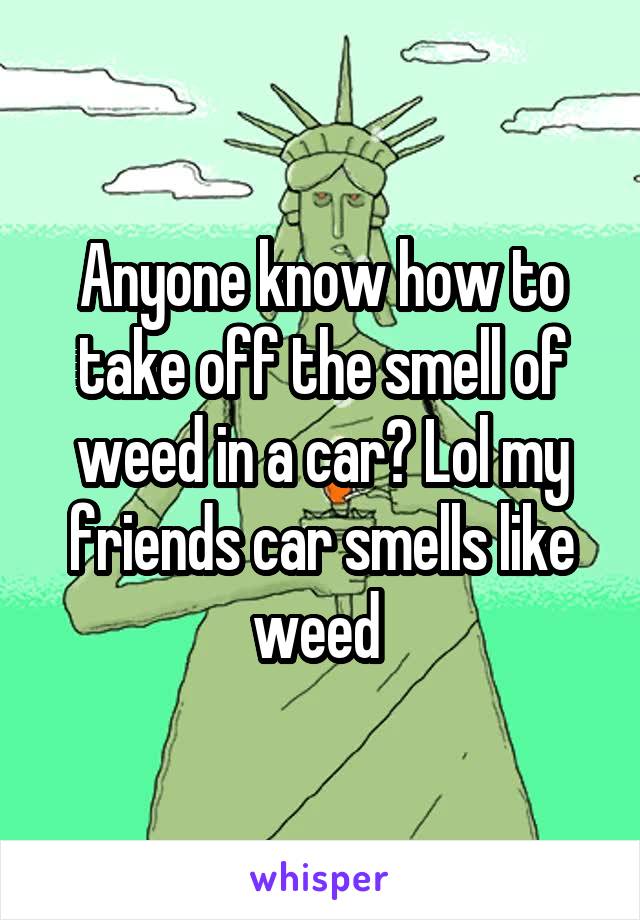 Anyone know how to take off the smell of weed in a car? Lol my friends car smells like weed 