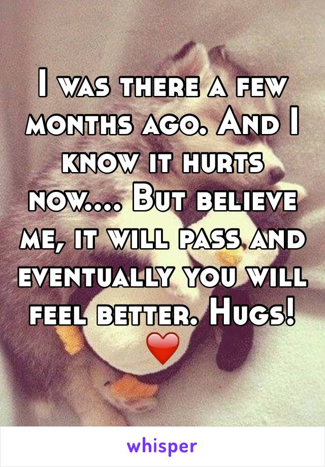 I was there a few months ago. And I know it hurts now.... But believe me, it will pass and eventually you will feel better. Hugs! ❤️