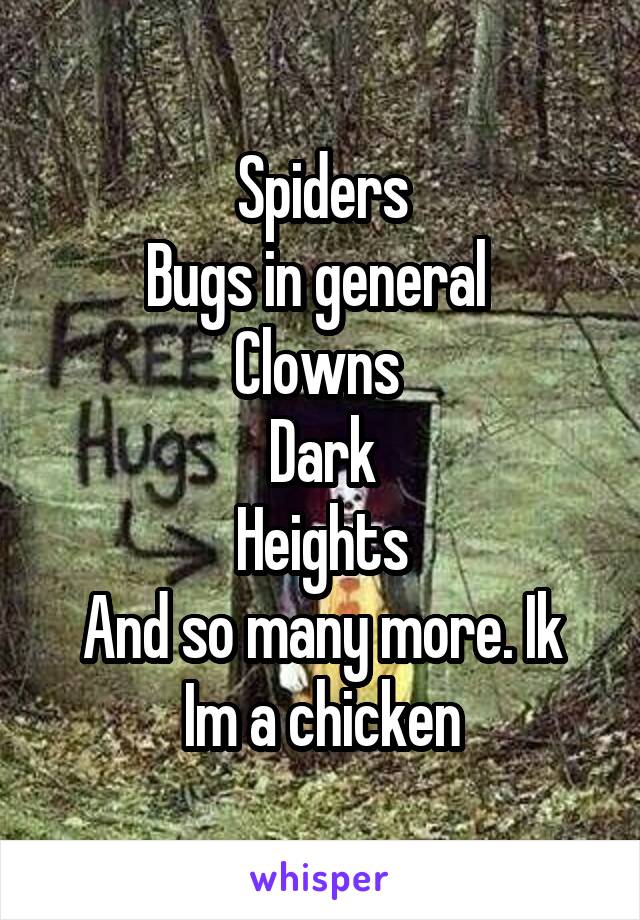 Spiders
Bugs in general 
Clowns 
Dark
Heights
And so many more. Ik Im a chicken