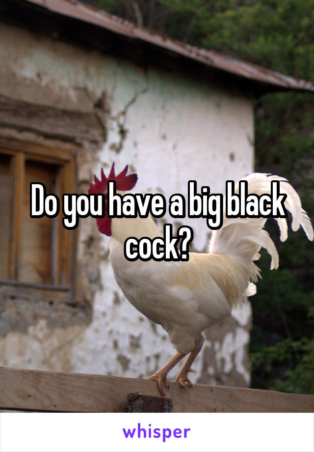 Do you have a big black cock?