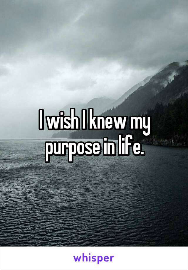 I wish I knew my purpose in life.