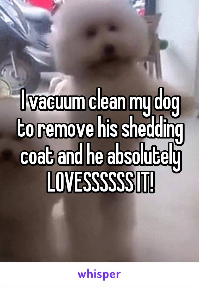 I vacuum clean my dog to remove his shedding coat and he absolutely LOVESSSSSS IT!
