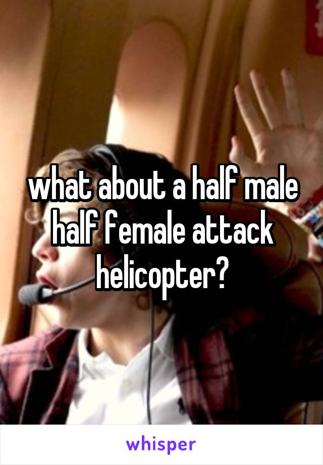 what about a half male half female attack helicopter?