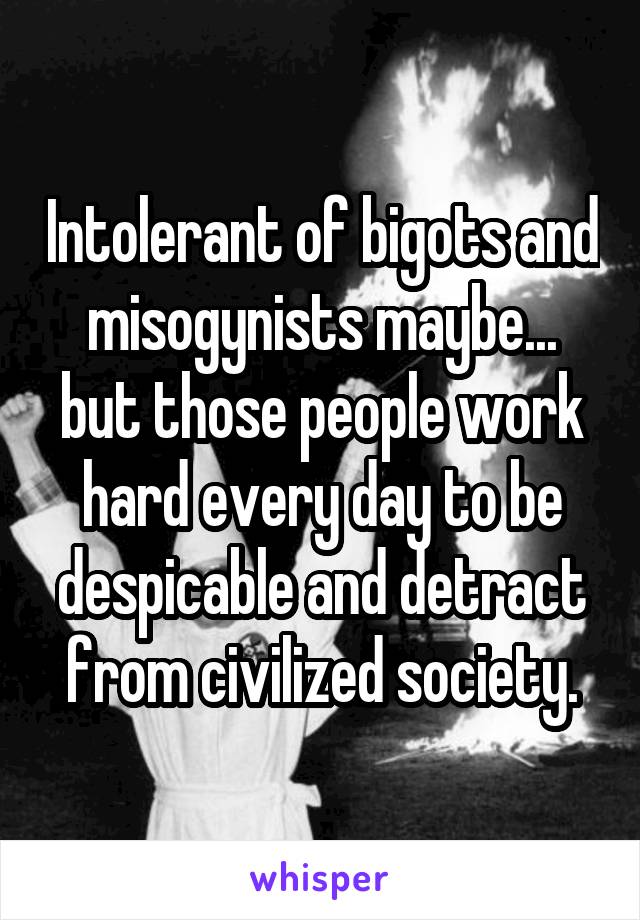 Intolerant of bigots and misogynists maybe... but those people work hard every day to be despicable and detract from civilized society.