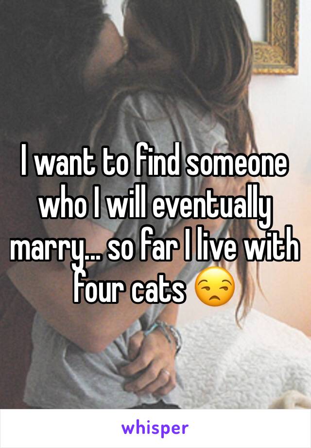 I want to find someone who I will eventually marry... so far I live with four cats 😒