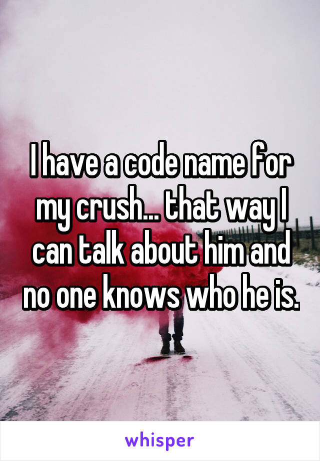 I have a code name for my crush... that way I can talk about him and no one knows who he is.