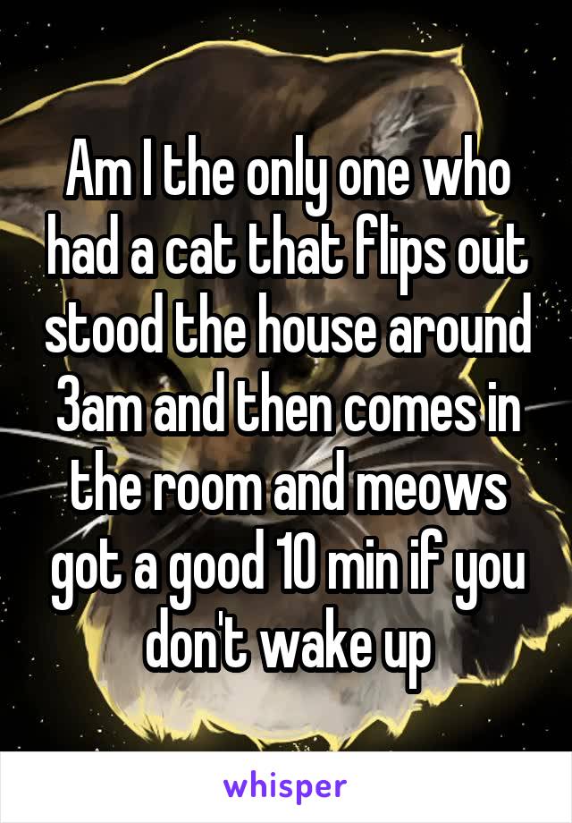 Am I the only one who had a cat that flips out stood the house around 3am and then comes in the room and meows got a good 10 min if you don't wake up