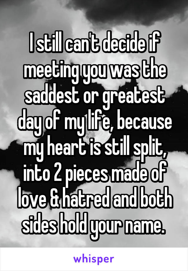 I still can't decide if meeting you was the saddest or greatest day of my life, because my heart is still split, into 2 pieces made of love & hatred and both sides hold your name. 