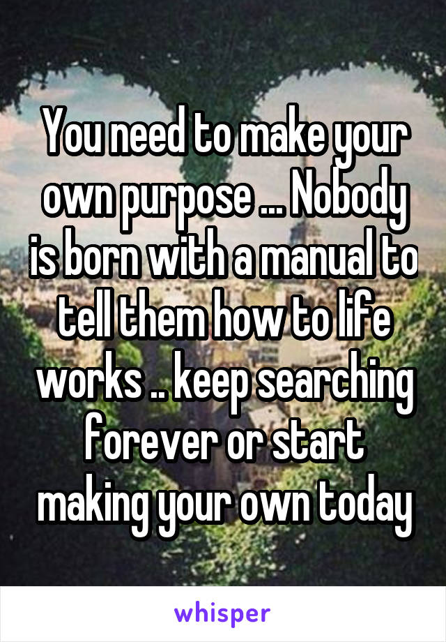 You need to make your own purpose ... Nobody is born with a manual to tell them how to life works .. keep searching forever or start making your own today