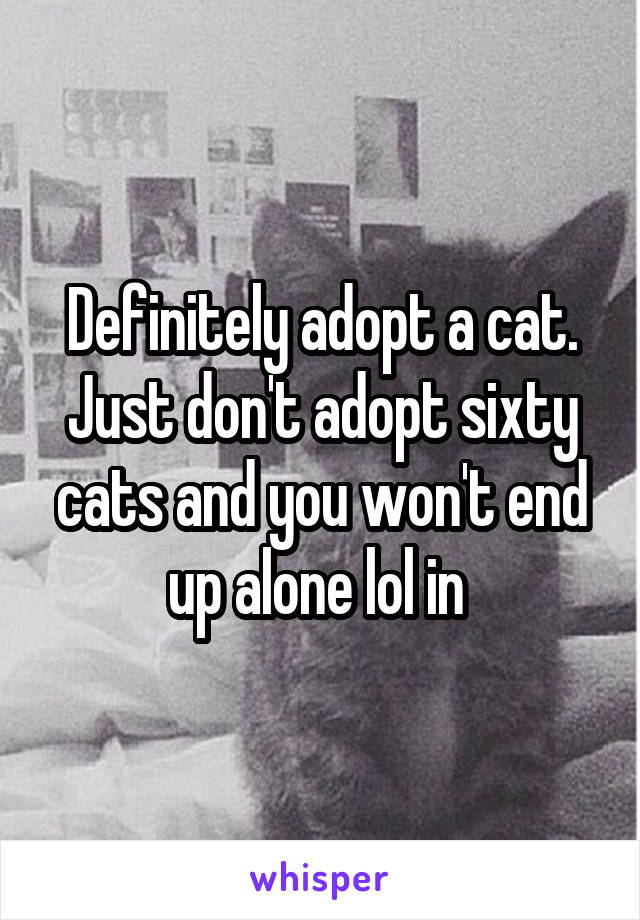 Definitely adopt a cat. Just don't adopt sixty cats and you won't end up alone lol in 