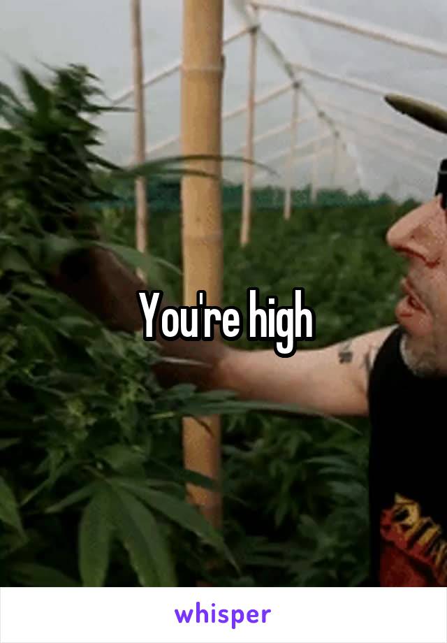 You're high