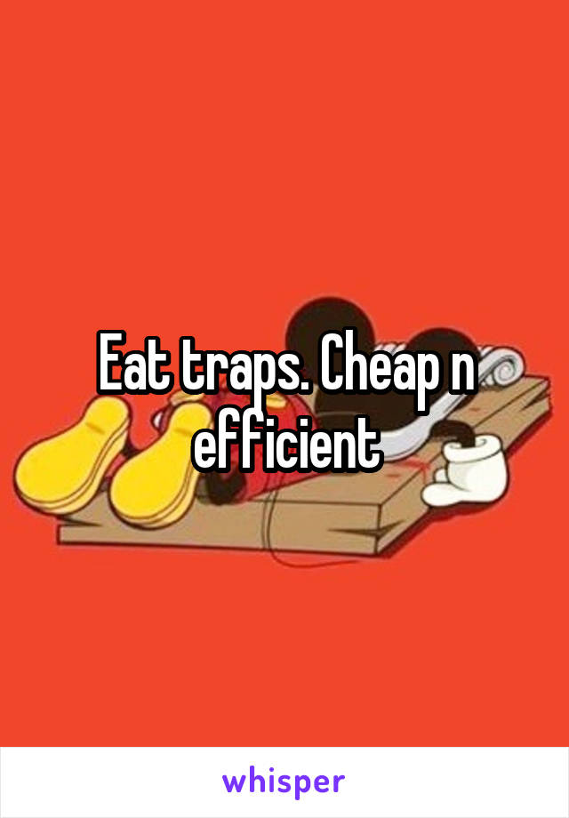 Eat traps. Cheap n efficient