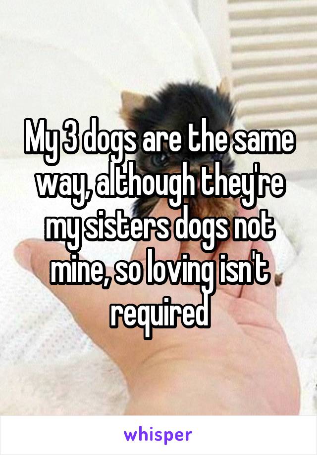 My 3 dogs are the same way, although they're my sisters dogs not mine, so loving isn't required