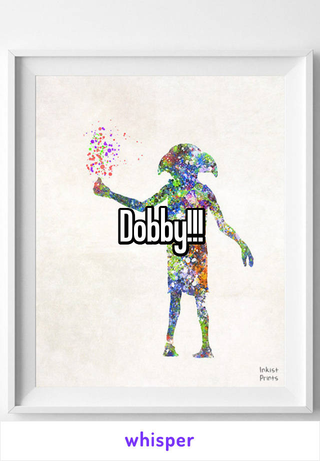 Dobby!!!
