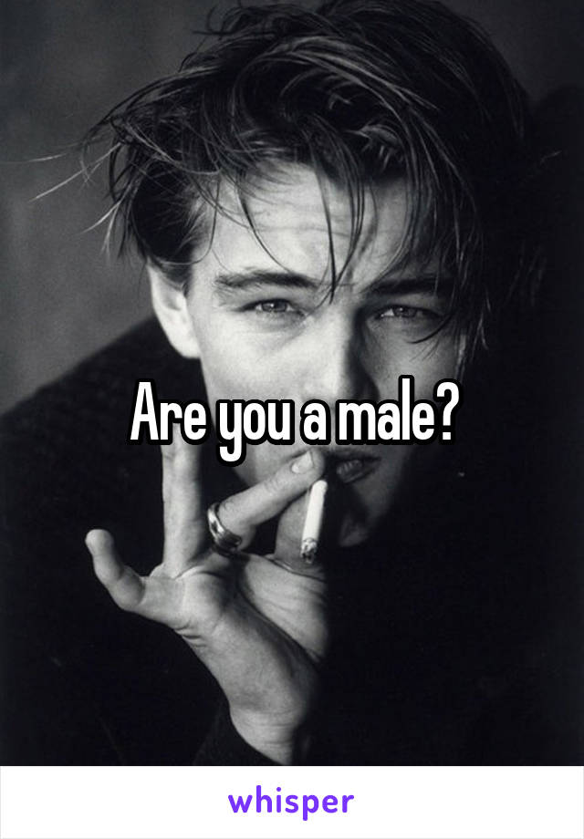 Are you a male?