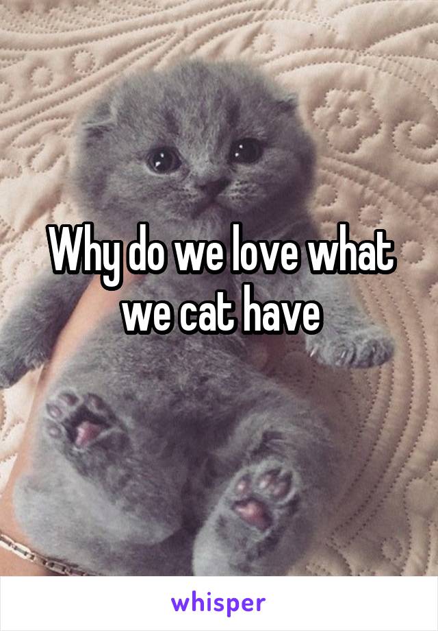 Why do we love what we cat have
